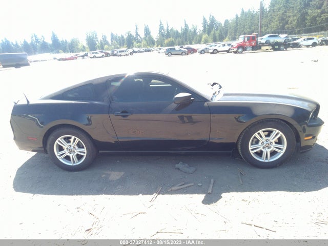 Ford Mustang V6 2014 1ZVBP8AM4E5238445 Image 5