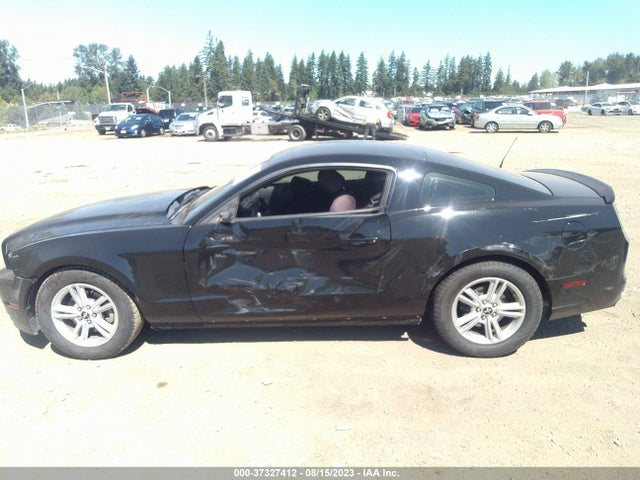 Ford Mustang V6 2014 1ZVBP8AM4E5238445 Image 6