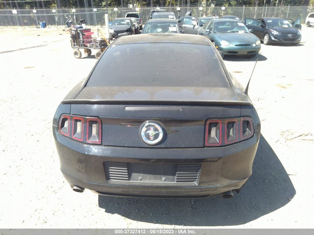 Ford Mustang V6 2014 1ZVBP8AM4E5238445 Image 8