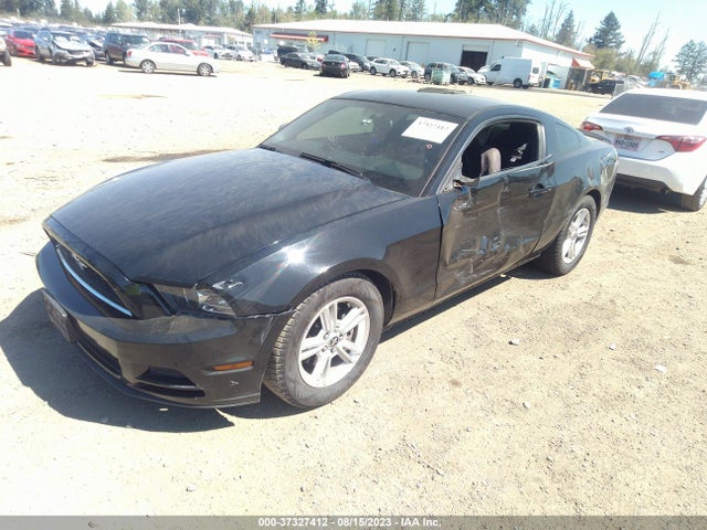 Ford Mustang V6 2014 1ZVBP8AM4E5238445 Image 2