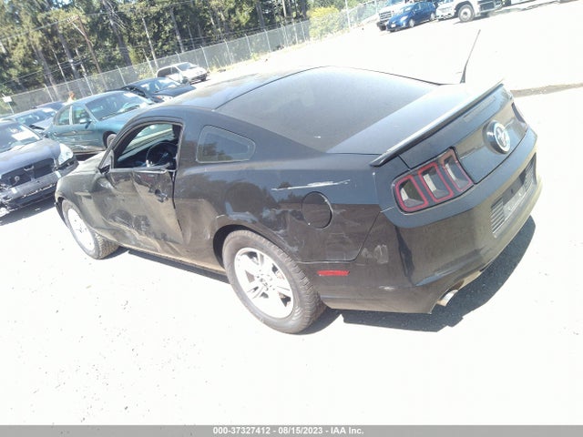 Ford Mustang V6 2014 1ZVBP8AM4E5238445 Image 9
