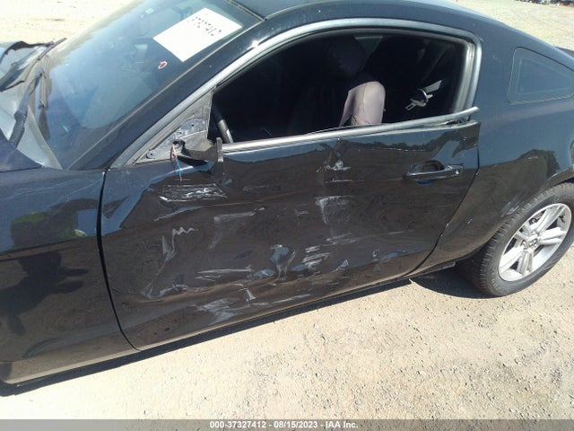 Ford Mustang V6 2014 1ZVBP8AM4E5238445 Image 12