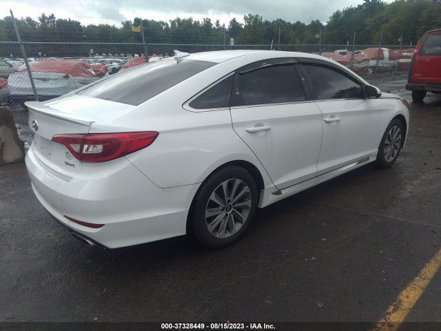 Hyundai Sonata Sport 2017 5NPE34AF2HH551570 Image 4