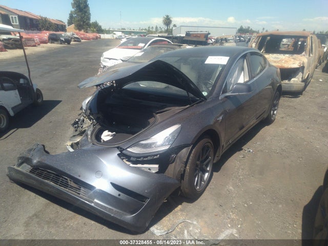 Tesla Model 3 Range 2019 5YJ3E1EA6KF312446 Image 2