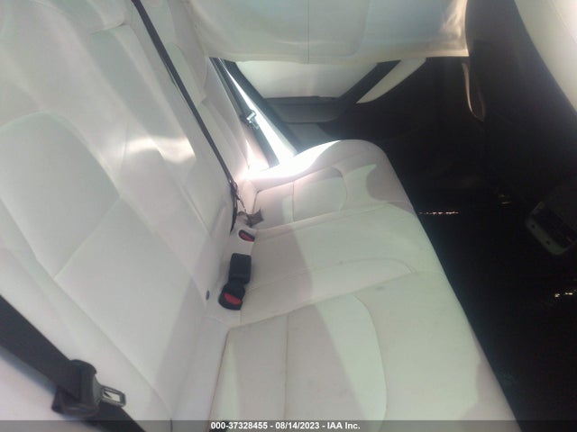 Tesla Model 3 Range 2019 5YJ3E1EA6KF312446 Image 15