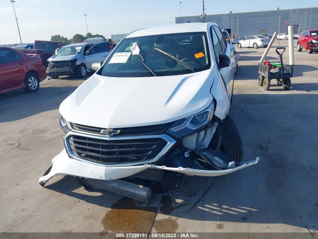 Chevrolet EQUINOX LS 2019 3GNAXHEVXKS659628 Image 6
