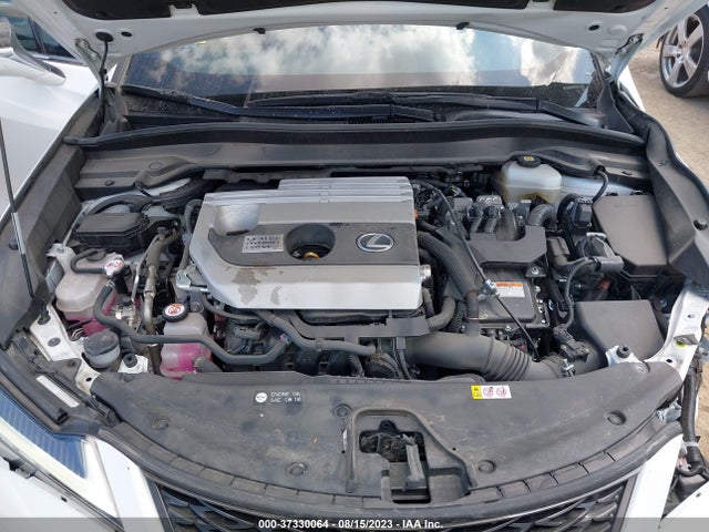 2020 Lexus UX, VIN: JTHR9JBH6L2027250