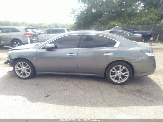 1N4AA5AP3EC497308 Nissan Maxima 3.5 Sv W/premium Pkg