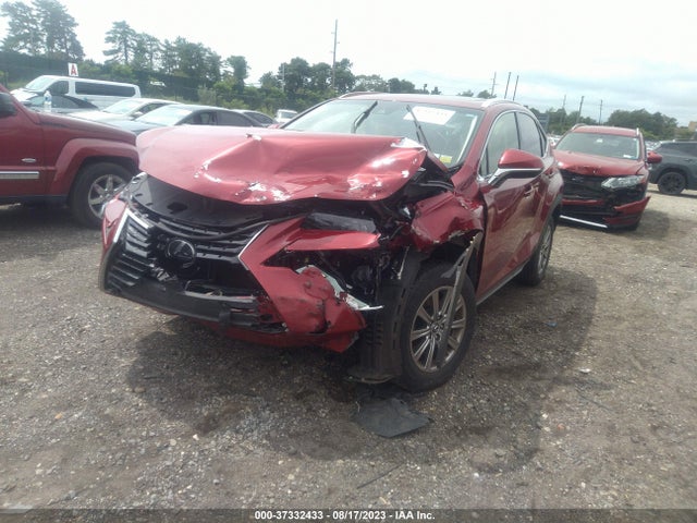 2019 Lexus NX, VIN: JTJBARBZ0K2211886