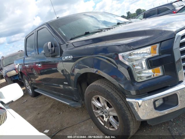 1FTEW1EP1FKD08842 Ford F-150 Xlt/xl/lariat