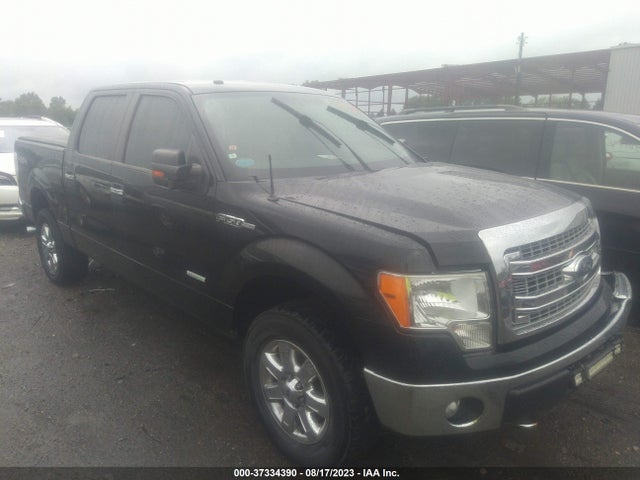 2013 FORD F-150 XL/XLT/FX4/LARIAT VIN: 1FTFW1ETXDFD99830