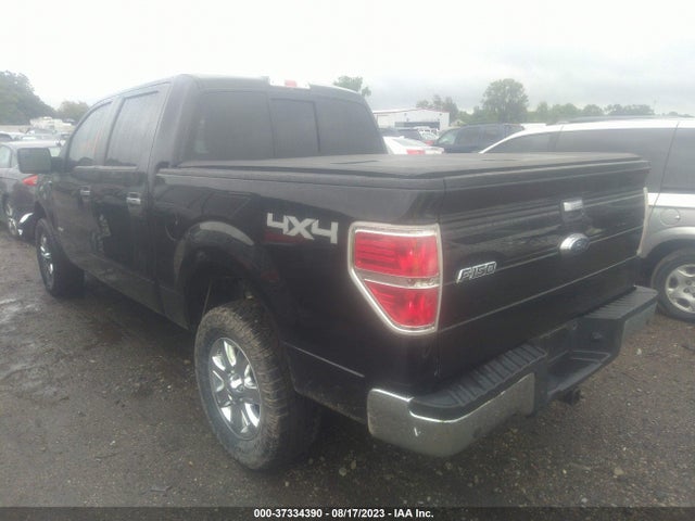 2013 FORD F-150 XL/XLT/FX4/LARIAT VIN: 1FTFW1ETXDFD99830