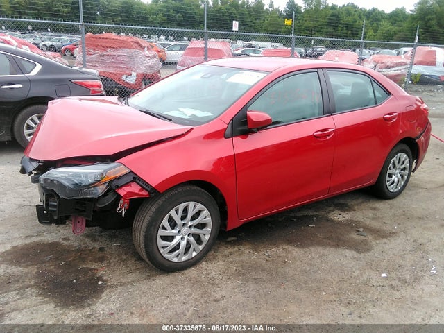 Toyota COROLLA LE 2019 2T1BURHE7KC184962 Image 2