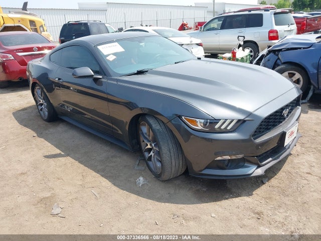 2017 1FA6P8TH4H5344070 main image