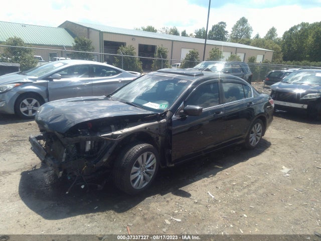 2011 HONDA ACCORD SDN EX VIN: 1HGCP2F71BA012679