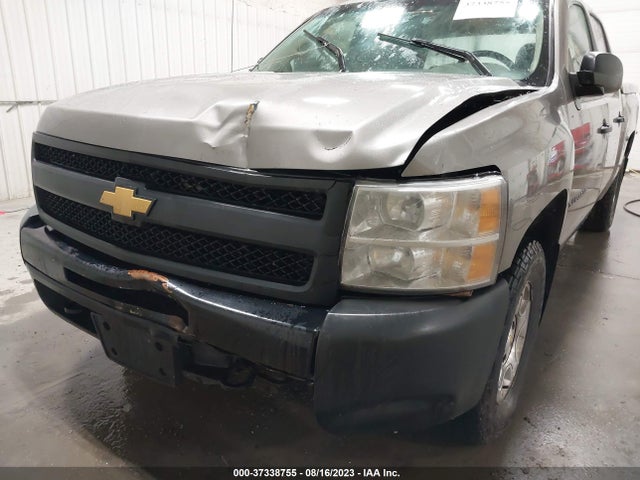 2009 CHEVROLET SILVERADO 1500 WORK TRUCK VIN: 3GCEK13C59G219895