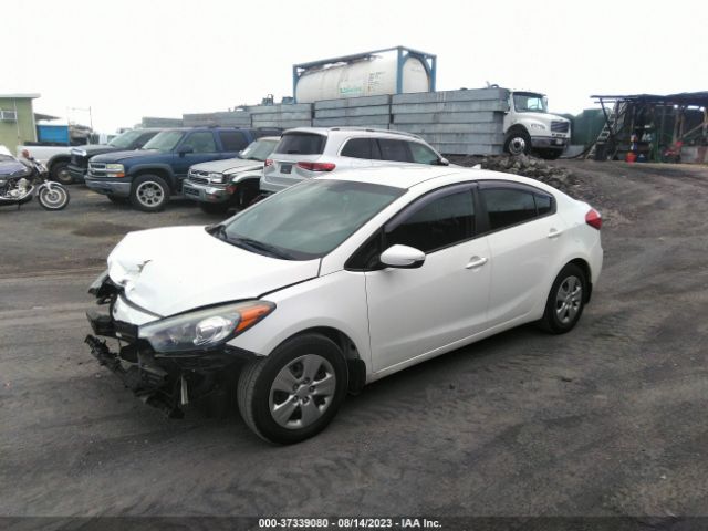 KNAFK4A64G5559916 KIA FORTE LX