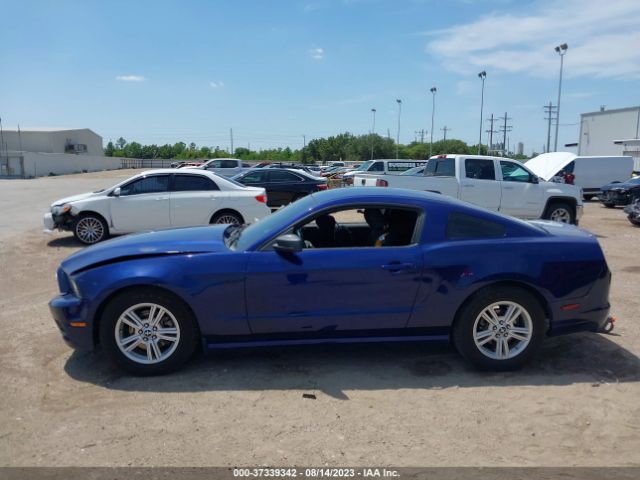 1ZVBP8AM7E5268569 Ford Mustang V6
