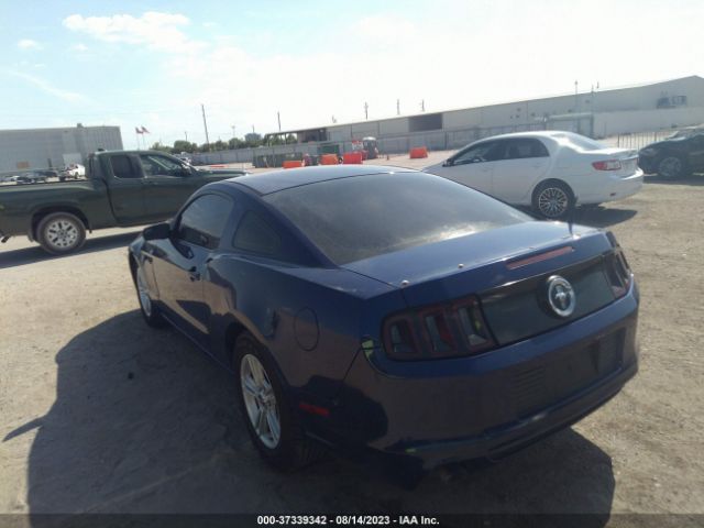 1ZVBP8AM7E5268569 Ford Mustang V6