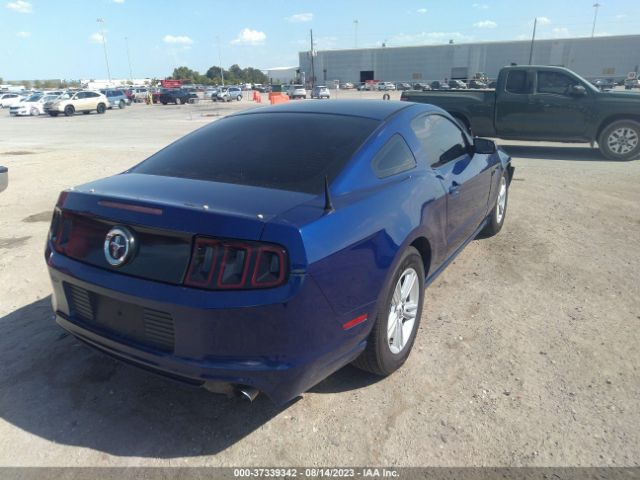 1ZVBP8AM7E5268569 Ford Mustang V6