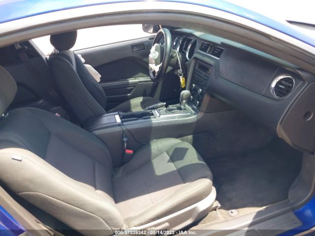 1ZVBP8AM7E5268569 Ford Mustang V6