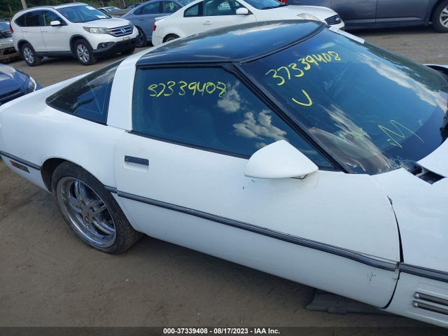 1994 CHEVROLET CORVETTE VIN: 1G1YY22P9R5111141