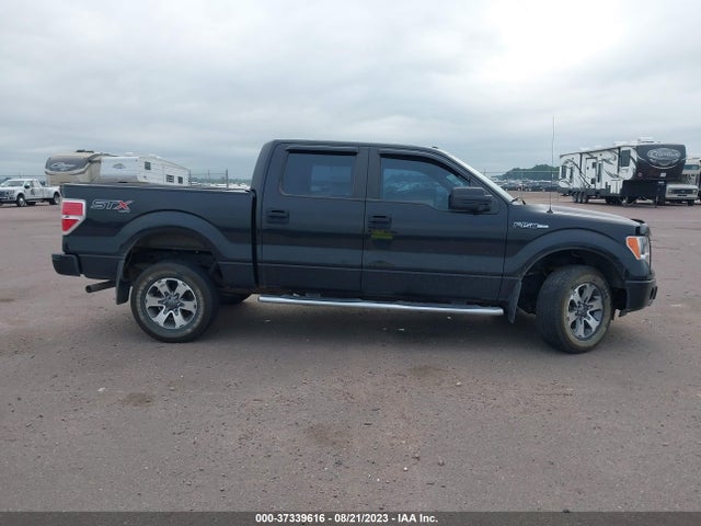 Ford F-150 Stx 2014 1FTFW1EF8EFB30981 Image 13