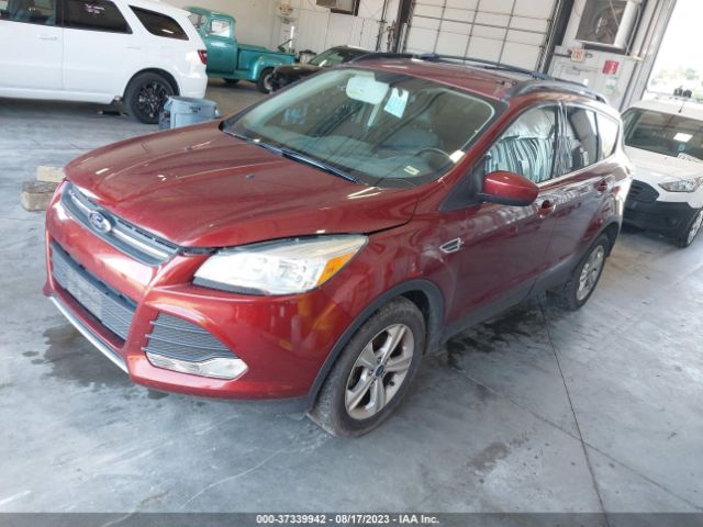 1FMCU0GX9EUB98450 Ford ESCAPE SE