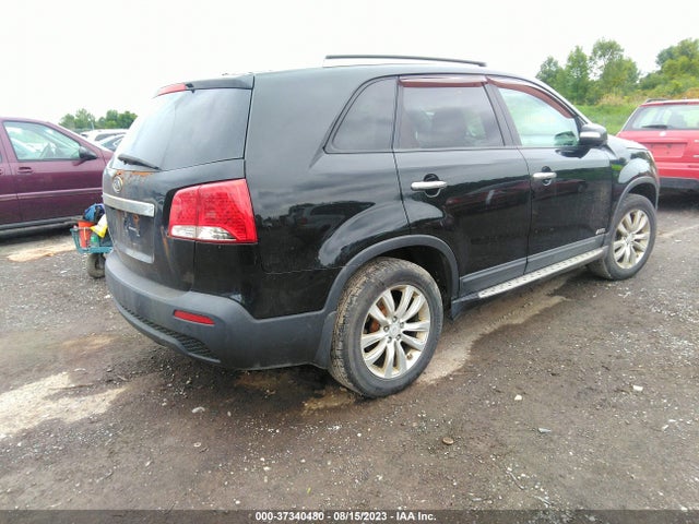 2011 KIA SORENTO LX VIN: 5XYKTDA26BG065195