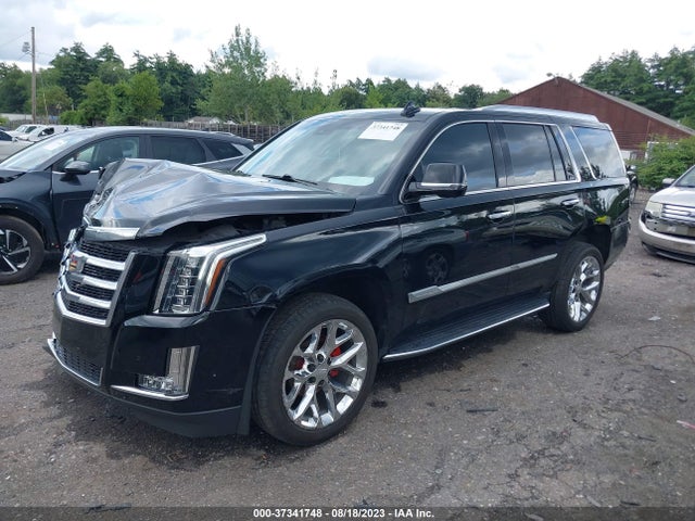 1GYS4BKJ4KR277743 Cadillac Escalade Luxury