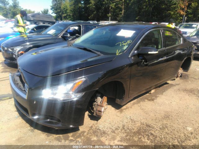 1N4AA5AP8EC474929 Nissan Maxima 3.5 Sv