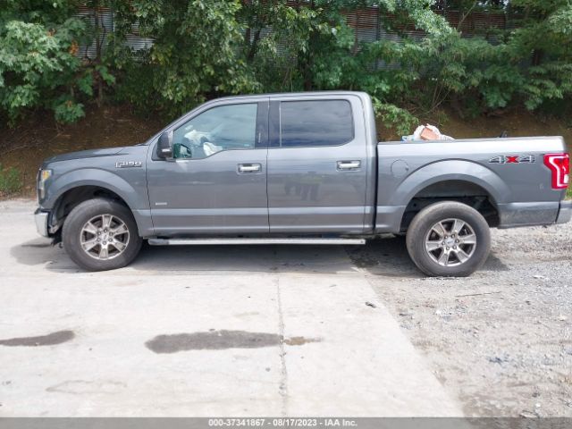 1FTEW1EG2FFB31520 Ford F-150 Xlt/xl/lariat/platinum