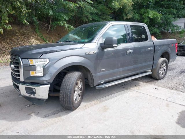 1FTEW1EG2FFB31520 Ford F-150 Xlt/xl/lariat/platinum