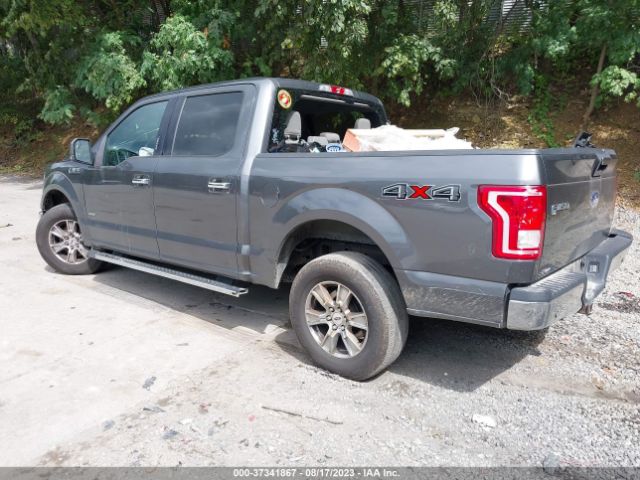 1FTEW1EG2FFB31520 Ford F-150 Xlt/xl/lariat/platinum