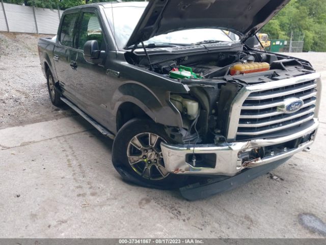 1FTEW1EG2FFB31520 Ford F-150 Xlt/xl/lariat/platinum