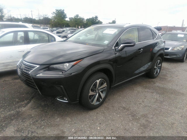 JTJGARDZ6L5000825 Lexus Nx Nx 300