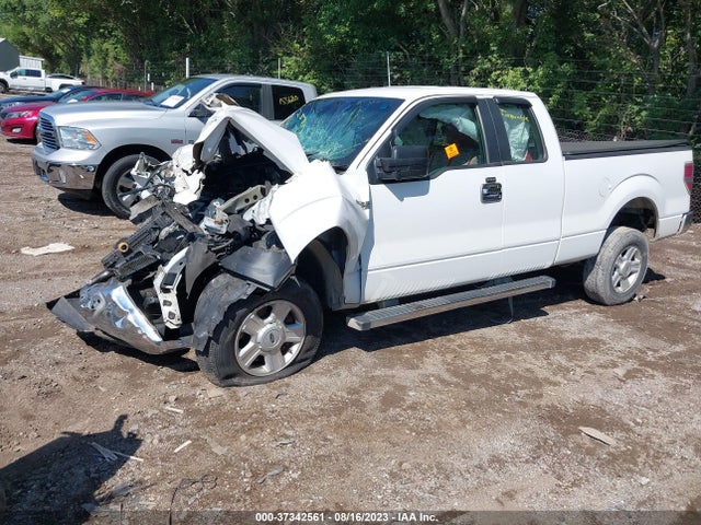 2013 FORD F-150 XL/STX/XLT/FX2/LARIAT VIN: 1FTFX1CF0DFC61899