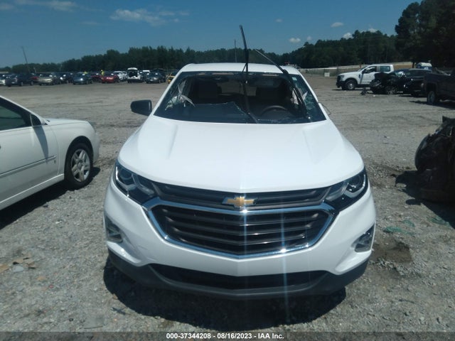 Chevrolet EQUINOX LS 2019 2GNAXHEV9K6286807 Image 12