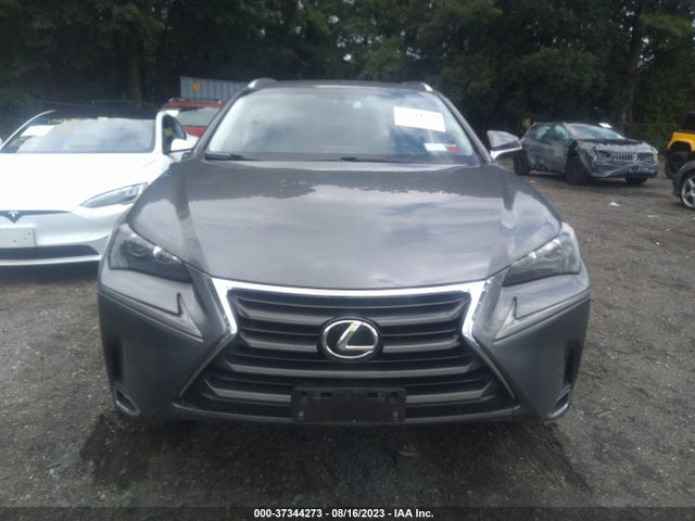 2015 Lexus NX, VIN: JTJBARBZ6F2036288