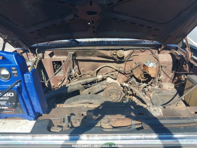 1982 FORD F150 VIN: 1FTDF15FXCNA62080