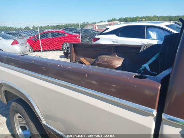 1982 FORD F150 VIN: 1FTDF15FXCNA62080