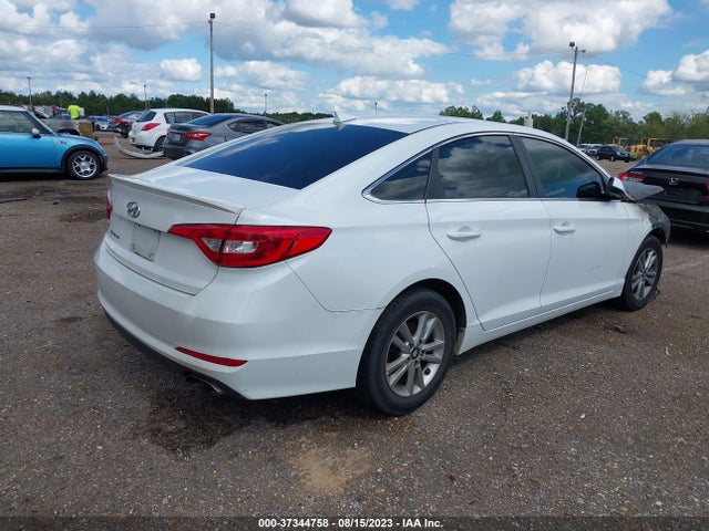 Hyundai Sonata 2.4l 2017 5NPE24AFXHH539380 Image 4