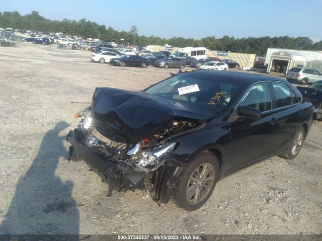 4T1BF1FKXGU143591 Toyota Camry Xle/se/le/xse