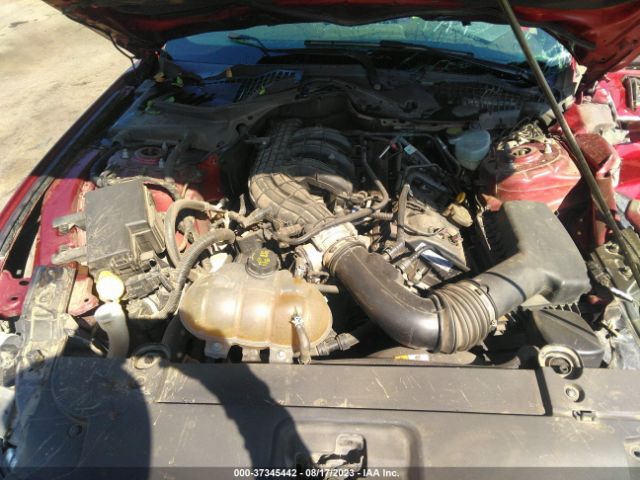 1FA6P8AMXF5370265 Ford Mustang V6