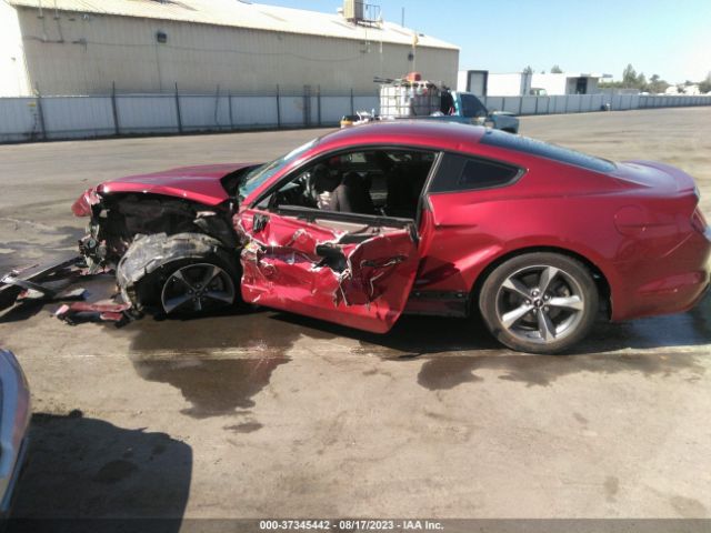 1FA6P8AMXF5370265 Ford Mustang V6