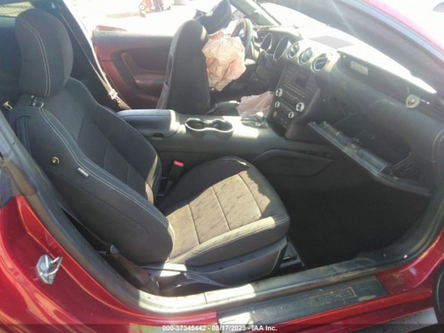 1FA6P8AMXF5370265 Ford Mustang V6