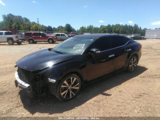 1N4AA6AP1GC442722 Nissan Maxima 3.5 Sv