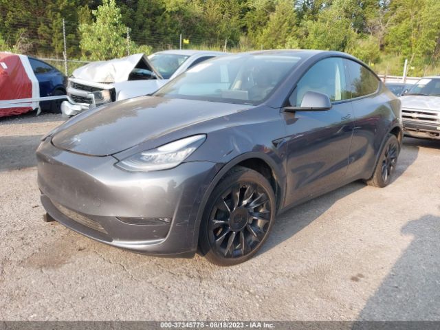 5YJYGDEE8MF141142 Tesla Model Y Long Range