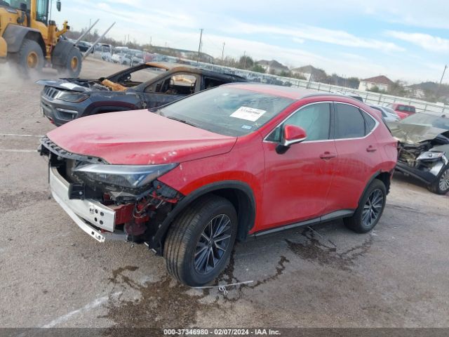 2024 LEXUS NX 2T2GDCAZ7RC008273 Photo 1