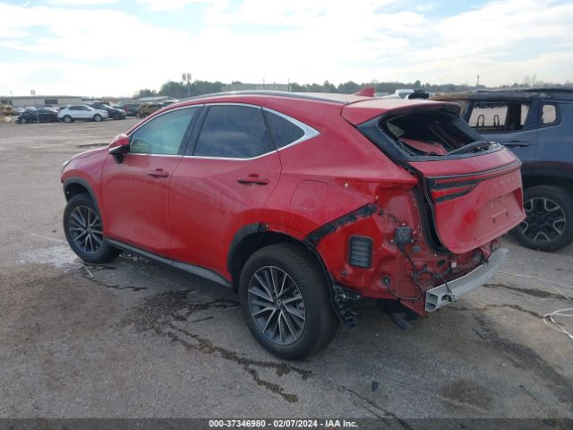 2024 LEXUS NX 2T2GDCAZ7RC008273 Photo 2
